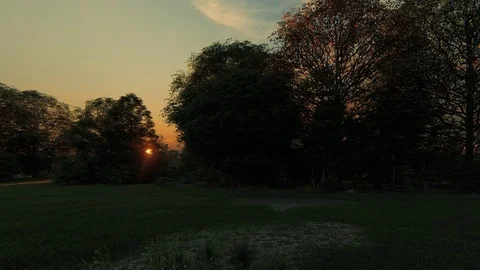 Fragment of the forest glade Stock Footage 109123126