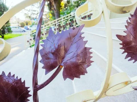 A fragment of a forged railing with a decorative element in the form of leaves Stock Photos