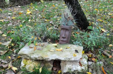 Fragment of the garden in the fall Stock Photos