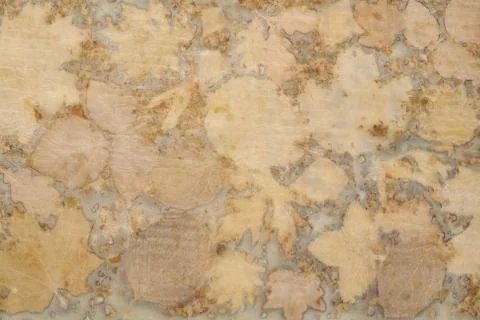 Fragment of hand-dyed fabric using eco-print technique Stock-Fotos