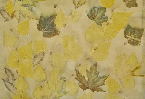 Fragment of hand-dyed fabric using eco-print technique Stock-Fotos
