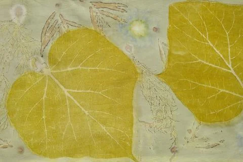 Fragment of hand-dyed fabric using eco-print technique Stock Photos