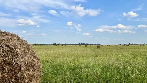 A fragment of a haystack against the background of a field and other haystacks Foto stock