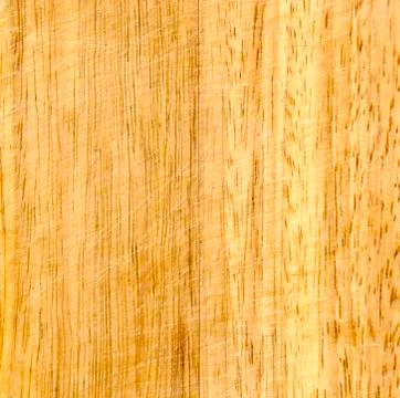 Fragment of oak timber Stock Photos