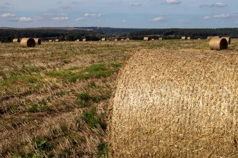 Fragment of a roll of dried grass on an empty field. Stock Photos