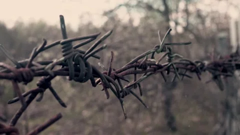 Fragment of rusty barbed wire on the background of nature. Stock Footage 193440625