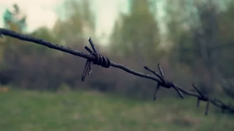 Fragment of rusty barbed wire on the background of nature. Video stock 193440937