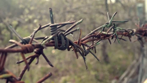 Fragment of rusty barbed wire on the background of nature. Video stock 193462816