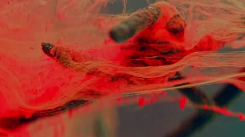 A fragment of rusty barbed wire in a liquid red stream. Stock Footage 193447603