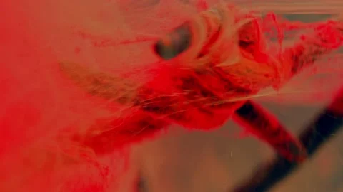 A fragment of rusty barbed wire in a liquid red stream. Stockbeeldmateriaal 193451078