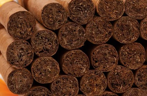 Fragment of the same expensive cigars Stock Photos
