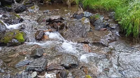 A fragment of a small stream with a rocky bottom flows down Stock Footage 305425579