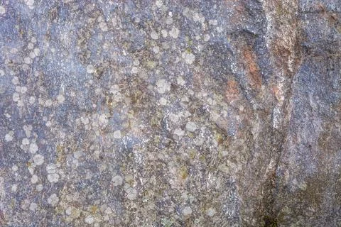 Fragment of the stone surface. Stock Photos