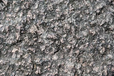 Fragment of a stone surface. Stock Photos