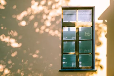 Fragment of window and wall with tree canopy shadows and copy space Stock Photos