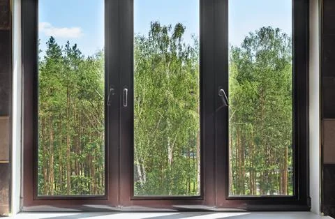 A fragment of a window overlooking the Park. Stock-Fotos