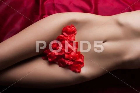 Fragment of woman body with rose petals Stock Photos
