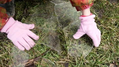 Fragments of ice that have fallen on the grass are collected into a whole fig Stock Footage 149997438