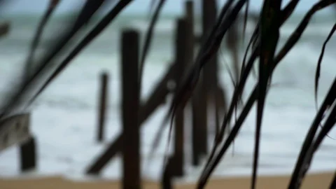 Fragments of the old pier Stock Footage 96513364