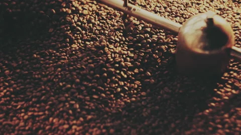 Fragrant coffee beans in the roaster Stock Footage 157013523