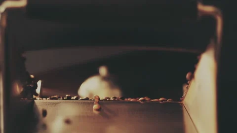 Fragrant coffee beans in the roaster Stock Footage 157021871