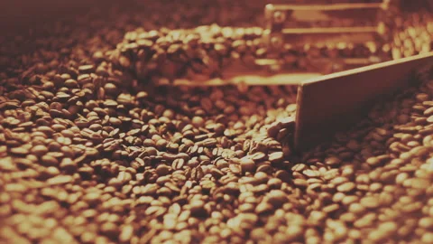 Fragrant coffee beans in the roaster Stock Footage 157022011