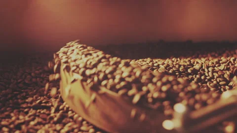 Fragrant coffee beans in the roaster Stock Footage 157154953