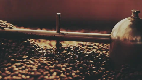 Fragrant coffee beans in the roaster Stock Footage 157211451