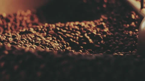 Fragrant coffee beans in the roaster Stock Footage 157214347
