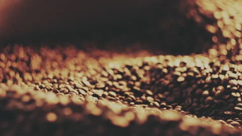 Fragrant coffee beans in the roaster Stock Footage 157214414