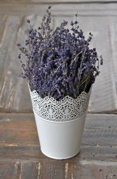 Fragrant dried lavender Stock Photos