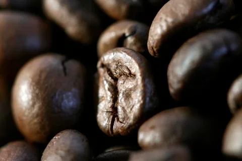 Fragrant fried coffee beans Stock Photos