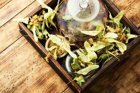 Fragrant linden tea Stock Photos
