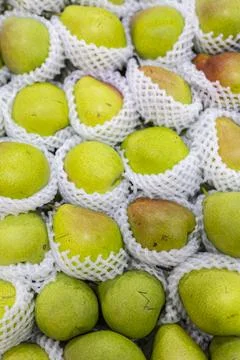 Fragrant Pears Packed In Mesh Nets 写真素材