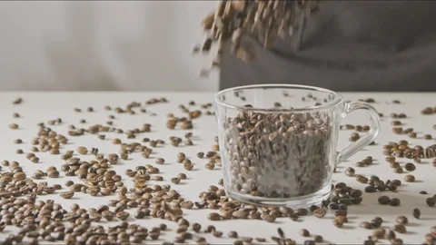 Fragrant roasted coffee beans fall in a glass cup. Stock Footage 129631563