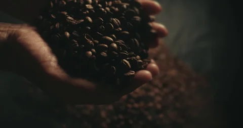 Fragrant roasted coffee beans splashing from woman hands. Aromatic smoke and Stock Footage 106963162
