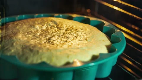 Fragrant sponge dough is rising inside a hot oven. Process of cooking a cake Stock Footage 196224738
