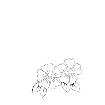 Fragrant tropical flower Stock Illustration