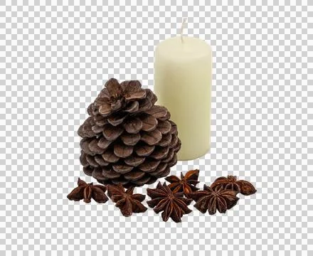 Fragrant winter still life: a pinecone, candle and cardamom on without backgroun Stock Photos