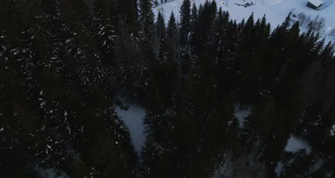 Frame from above on the winter forest Stock Footage 150956243