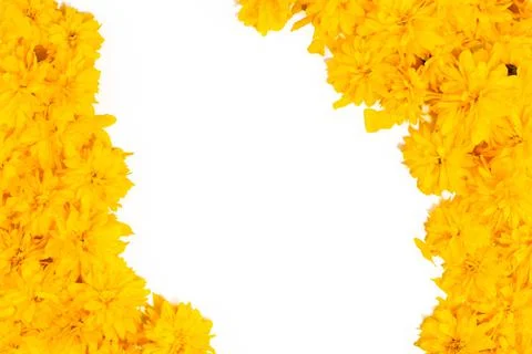 Frame and border pattern of bright yellow flowers on white background Stock Photos