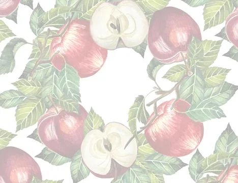 Frame apples 2 Stock Photos