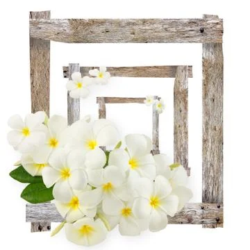 Frame for artwork. Stock Illustration