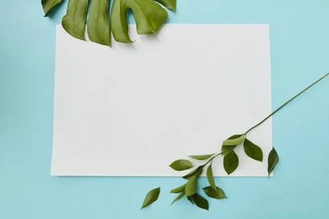 Frame on a blue background Stock-Fotos