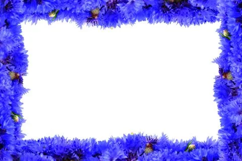 Frame from blue cornflowers Stock Photos