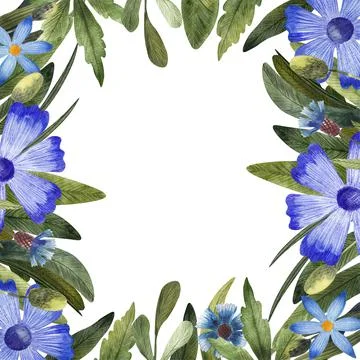 Frame with blue daisies, cornflower and leaves Stock Illustration