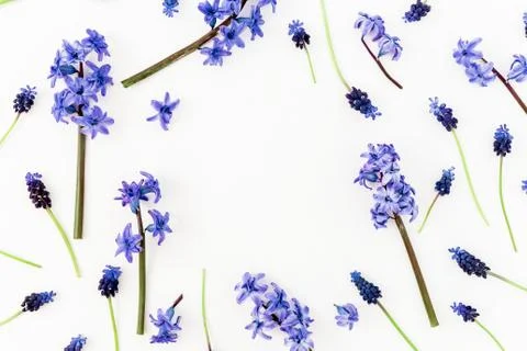 Frame with blue spring flowers and petals on white. Flat lay, top view. Foto stock