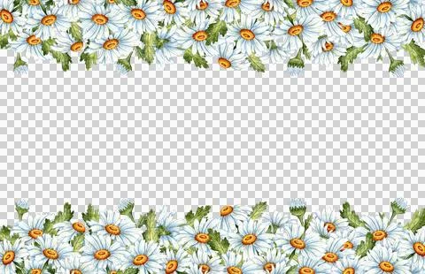 Frame border top bottom daisies watercolor Illustrazione stock