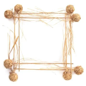 Frame of Branch Stock Photos