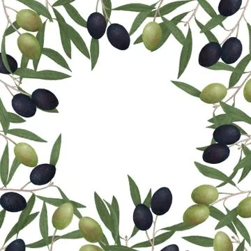 The frame of the branches of the olive tree Stock Illustration